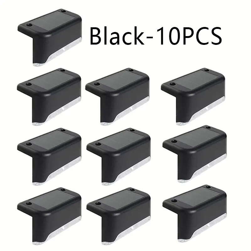 black shell 10PCS
