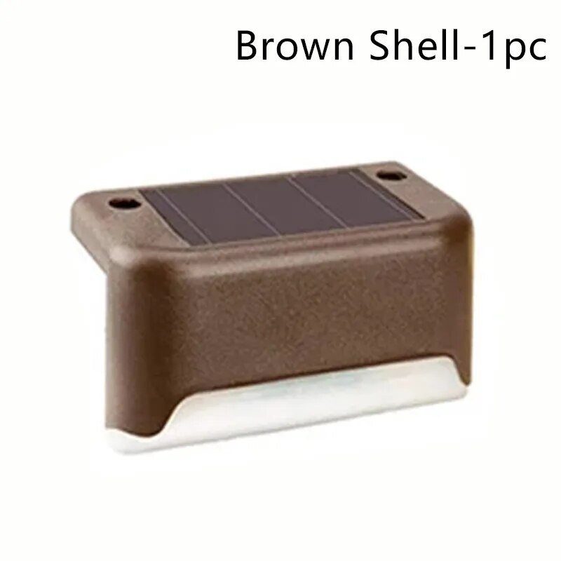 brown shell 1PCS