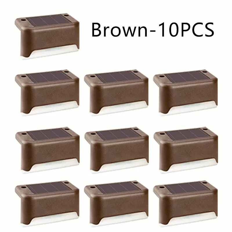 brown shell 10PCS